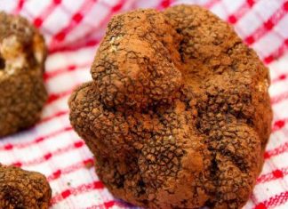 Pane con caciocavallo e tartufo